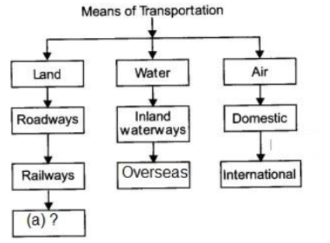 Class 10 Social Science Geography Lifelines of the National Economy