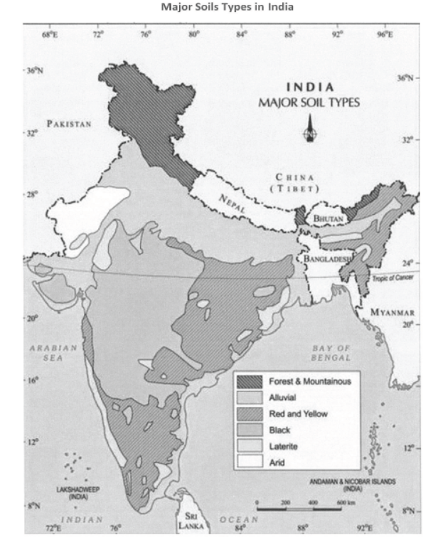 Class 10 Social Science Geography Resources and development