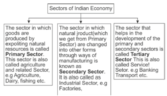 CBSE Class 10 Social Science Sectors of the Indian Economy
