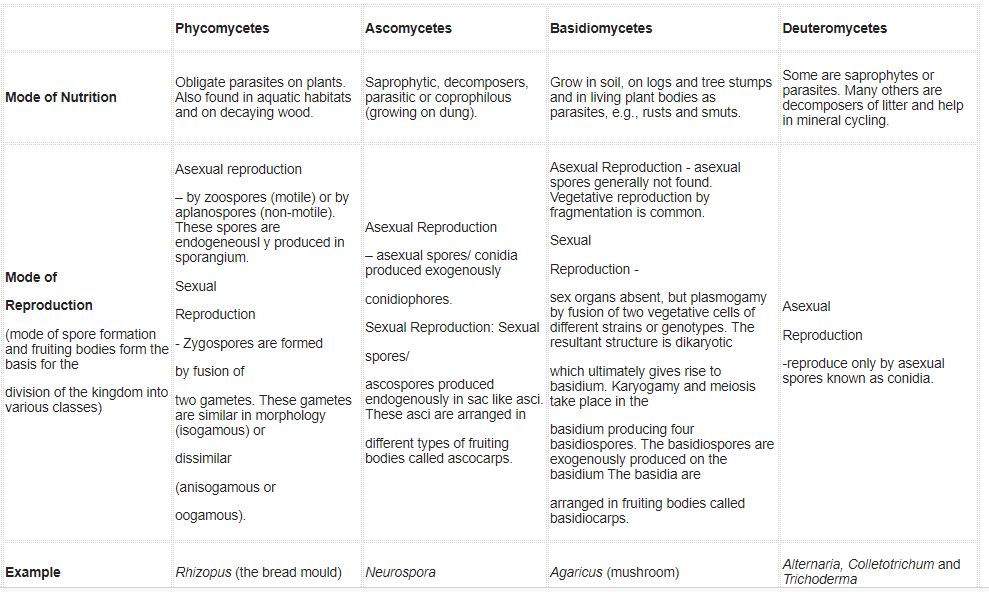 ""Class-11-Biology-Chapter-2-Biological-Classification