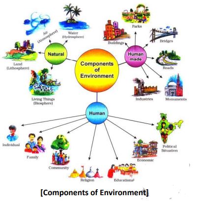 ""Class-7-Social-Science-Our-Environment