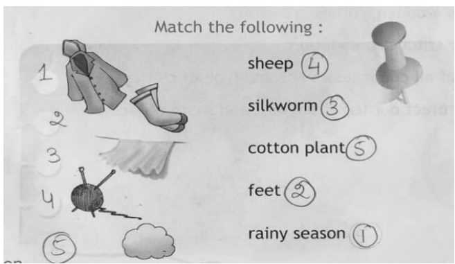 cbse-class-2-evs-practice-revision-worksheet-set-d