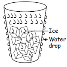 cbse-class-3-dcience-water-mcqs