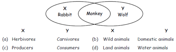 cbse-class-3-science-animal-life-mcqs