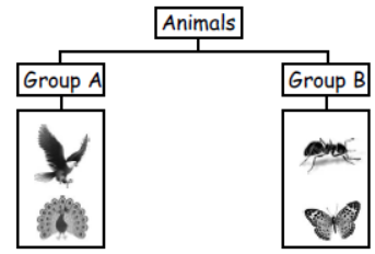 cbse-class-3-science-animal-life-mcqs