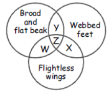 cbse-class-3-science-birds-mcqs