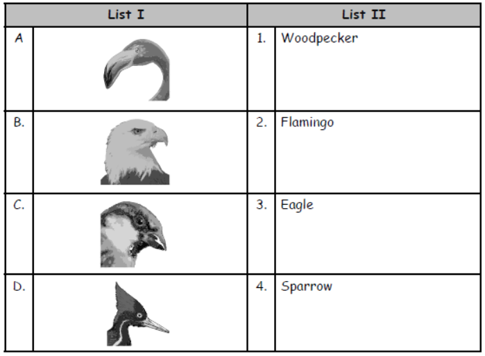 cbse-class-3-science-birds-mcqs