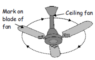 cbse-class-3-science-force-and-motion-mcqs