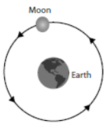 cbse-class-3-science-force-and-motion-mcqs