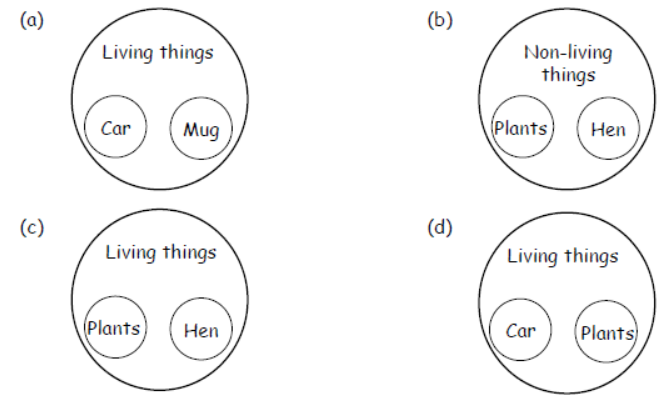 cbse-class-3-science-living-and-non-living-things-msqs