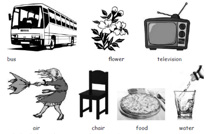 cbse-class-3-science-living-and-non-living-things-msqs