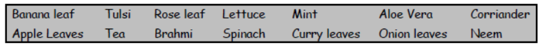 cbse-class-3-science-plants-mcqs