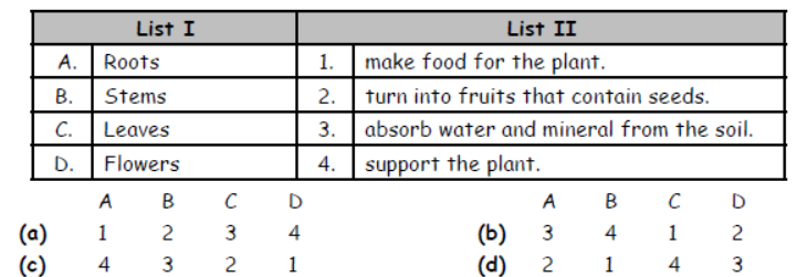 cbse-class-3-science-plants-mcqs