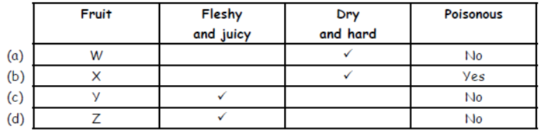 cbse-class-3-science-plants-mcqs