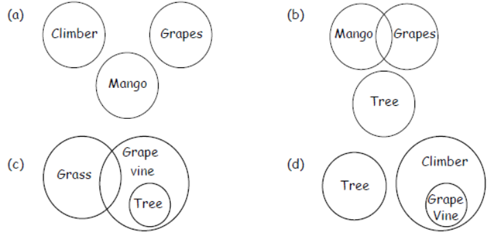 cbse-class-3-science-plants-mcqs