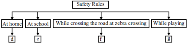 cbse-class-3-science-safety-and-first-aid-mcqs