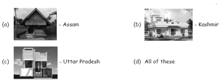 cbse-class-3-science-shelter-mcqs