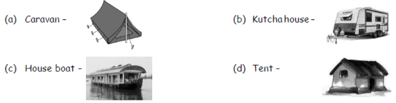 cbse-class-3-science-shelter-mcqs