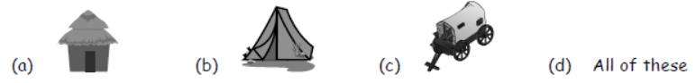 cbse-class-3-science-shelter-mcqs