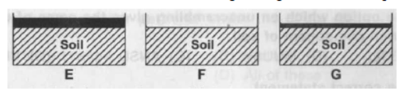 cbse-class-3-science-soil-mcqs