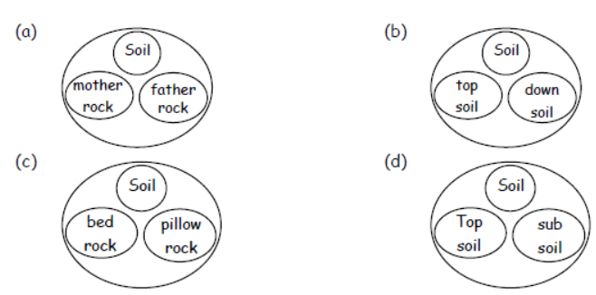 cbse-class-3-science-soil-mcqs