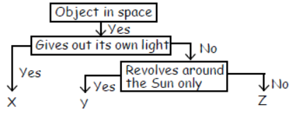 cbse-class-3-science-solar-system-mcqs