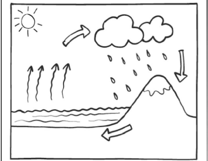 cbse-class-3-science-worksheet-g