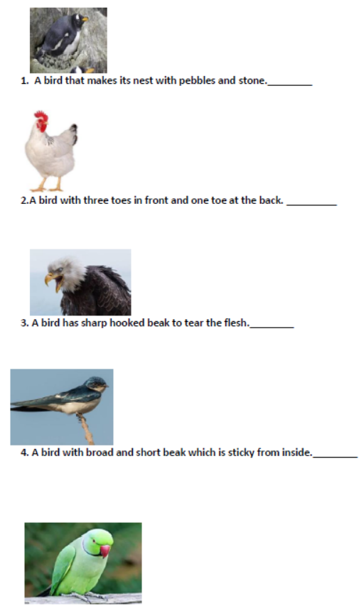 cbse-class-3-science-worksheet-j