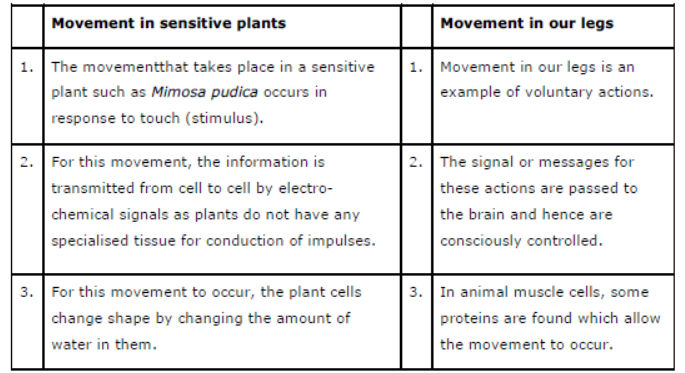 Class-10-NCERT-Solutions-Control-and-Coordination-5