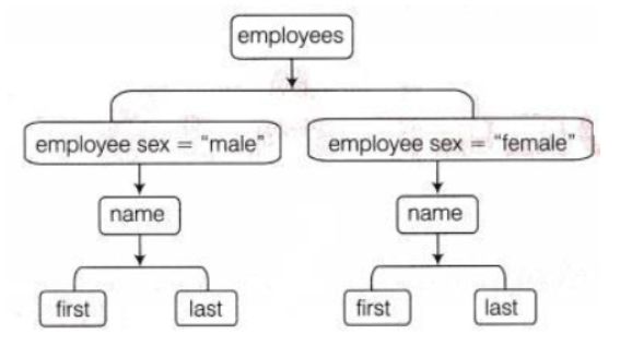 NCERT-Solutions-Class-10-Foundation-of-Information-Technology-Introduction-to-XML-18