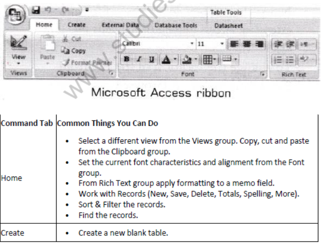 NCERT-Solutions-Class-10-Foundation-of-Information-Technology-Microsoft-Access-4