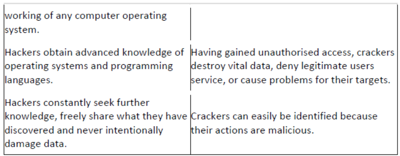 NCERT-Solutions-Class-10-Foundation-of-Information-Technology-Societal-Impacts-of-IT-2