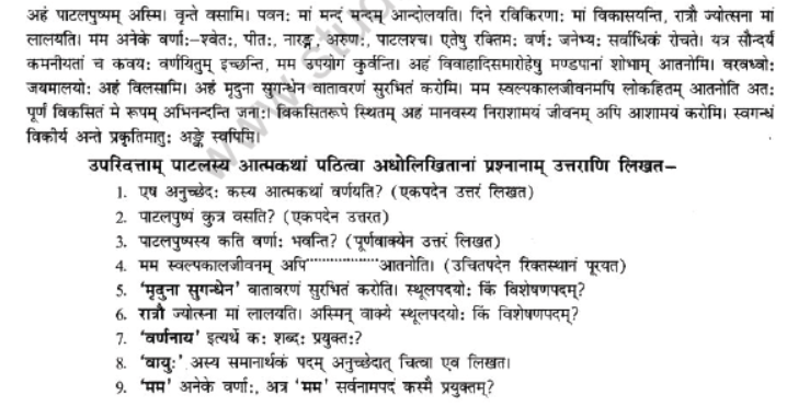 NCERT-Solutions-Class-10-Sanskrit-Chapter-1-Apathit-Avbodhnam-4