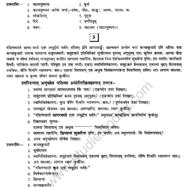 NCERT-Solutions-Class-10-Sanskrit-Chapter-1-Apathit-Avbodhnam-5