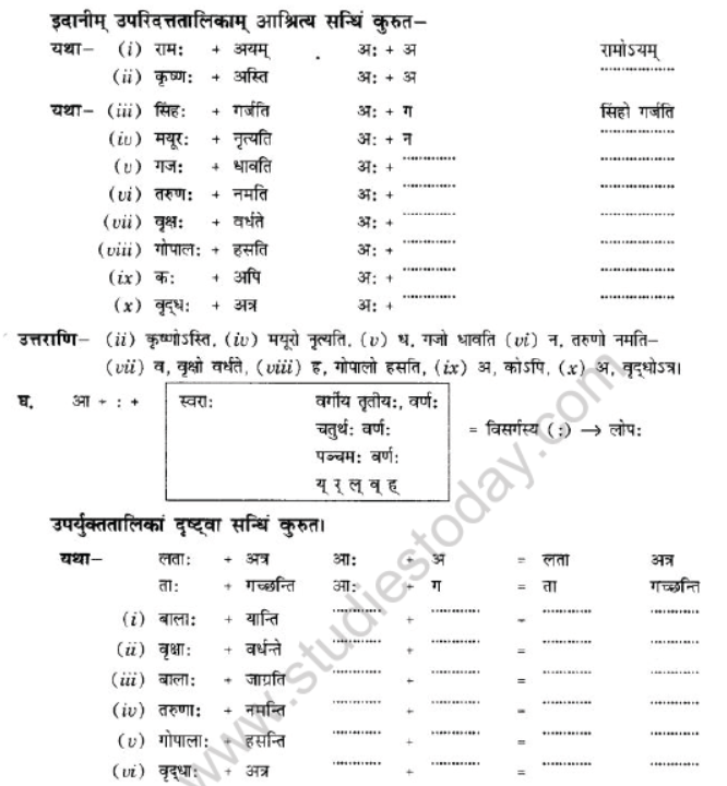 NCERT-Solutions-Class-10-Sanskrit-Chapter-1-Sandhi-23