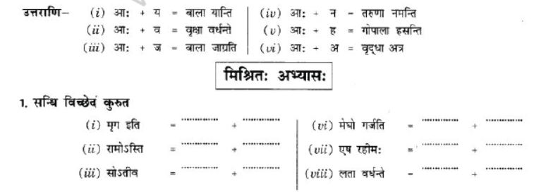 NCERT-Solutions-Class-10-Sanskrit-Chapter-1-Sandhi-24