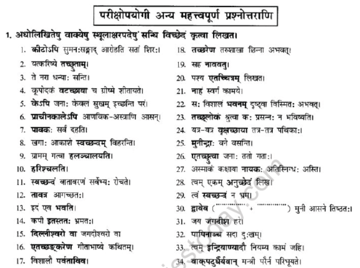 NCERT-Solutions-Class-10-Sanskrit-Chapter-1-Sandhi-31