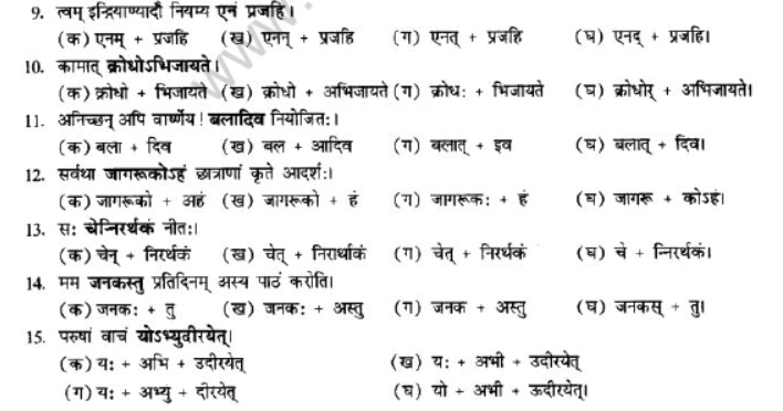 NCERT-Solutions-Class-10-Sanskrit-Chapter-1-Sandhi-38