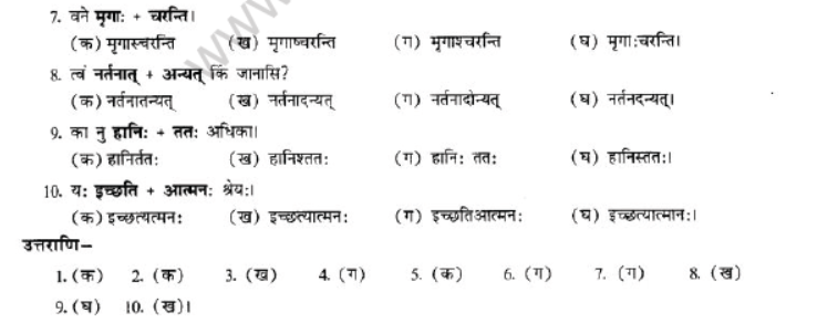 NCERT-Solutions-Class-10-Sanskrit-Chapter-1-Sandhi-40