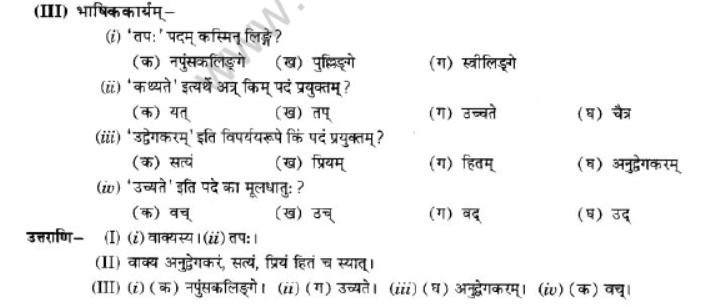 NCERT-Solutions-Class-10-Sanskrit-Chapter-1-Vadmay-Tap-21