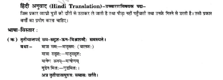 NCERT-Solutions-Class-10-Sanskrit-Chapter-1-Vadmay-Tap-31