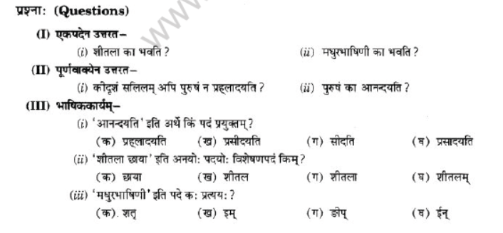 NCERT-Solutions-Class-10-Sanskrit-Chapter-1-Vadmay-Tap-8