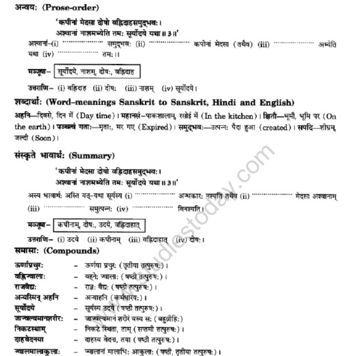 NCERT-Solutions-Class-10-Sanskrit-Chapter-2-Aagya-Gurunahi-Avicharniya-11