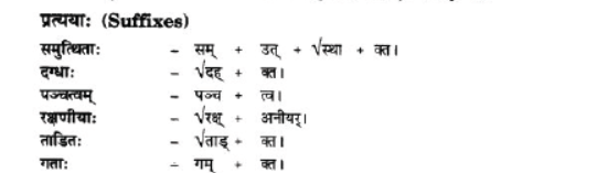 NCERT-Solutions-Class-10-Sanskrit-Chapter-2-Aagya-Gurunahi-Avicharniya-12