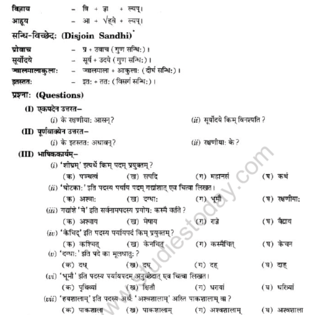 NCERT-Solutions-Class-10-Sanskrit-Chapter-2-Aagya-Gurunahi-Avicharniya-13