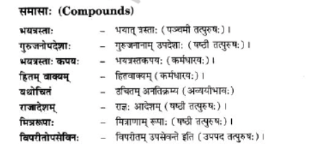 NCERT-Solutions-Class-10-Sanskrit-Chapter-2-Aagya-Gurunahi-Avicharniya-16