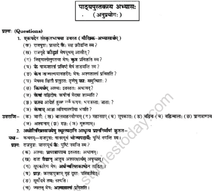 NCERT-Solutions-Class-10-Sanskrit-Chapter-2-Aagya-Gurunahi-Avicharniya-19