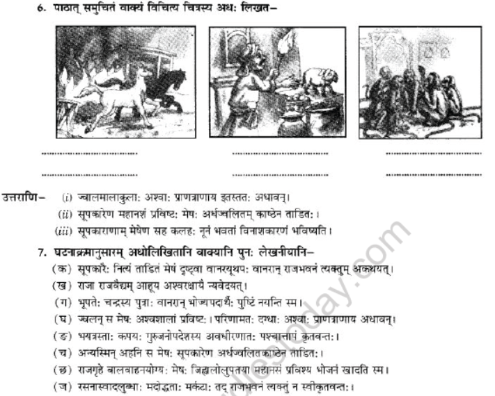 NCERT-Solutions-Class-10-Sanskrit-Chapter-2-Aagya-Gurunahi-Avicharniya-23