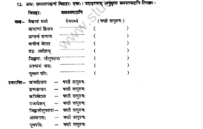 NCERT-Solutions-Class-10-Sanskrit-Chapter-2-Aagya-Gurunahi-Avicharniya-28
