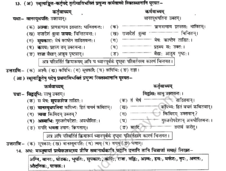 NCERT-Solutions-Class-10-Sanskrit-Chapter-2-Aagya-Gurunahi-Avicharniya-29